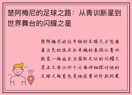 楚阿梅尼的足球之路：从青训新星到世界舞台的闪耀之星
