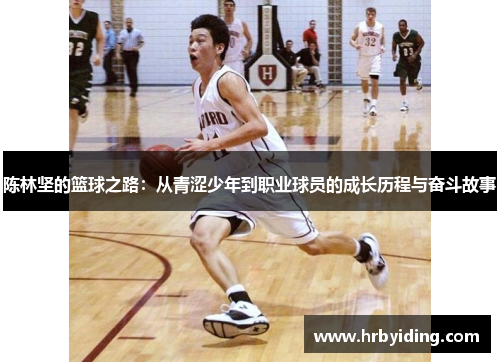 陈林坚的篮球之路：从青涩少年到职业球员的成长历程与奋斗故事