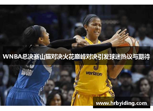 WNBA总决赛山猫对决火花巅峰对决引发球迷热议与期待